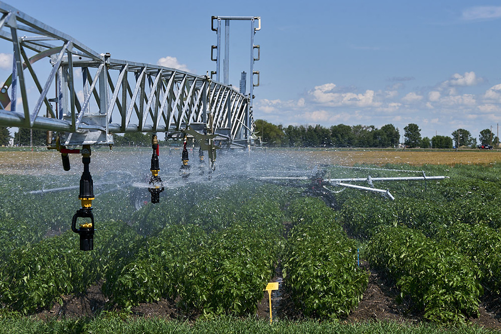 A Cadman irrigation reel moves through rows of Farming Smarter's potato agronomy research trials in southern Alberta