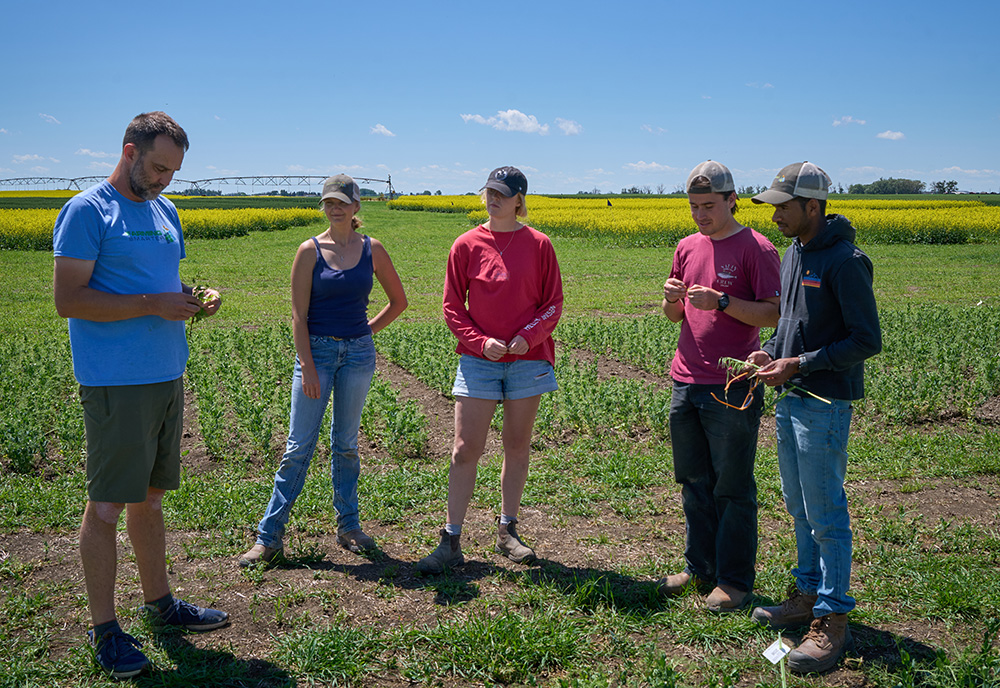 Camryn Wojtowicz stands in a field trial as Lewis Baarda demonstrates crop checks for the Field Tested team at Farming Smarter.