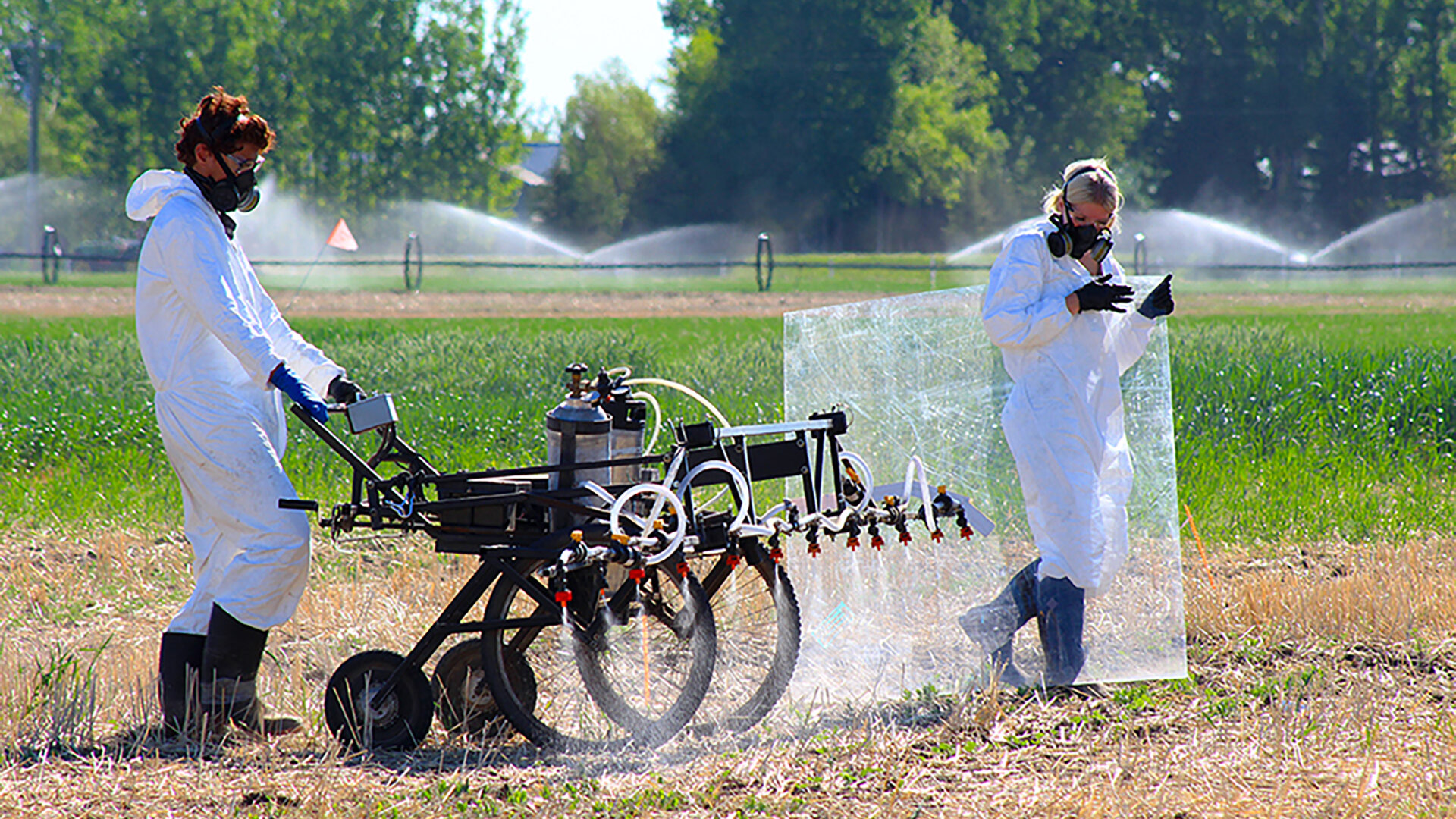 Alfalfa Desiccation Product Trials