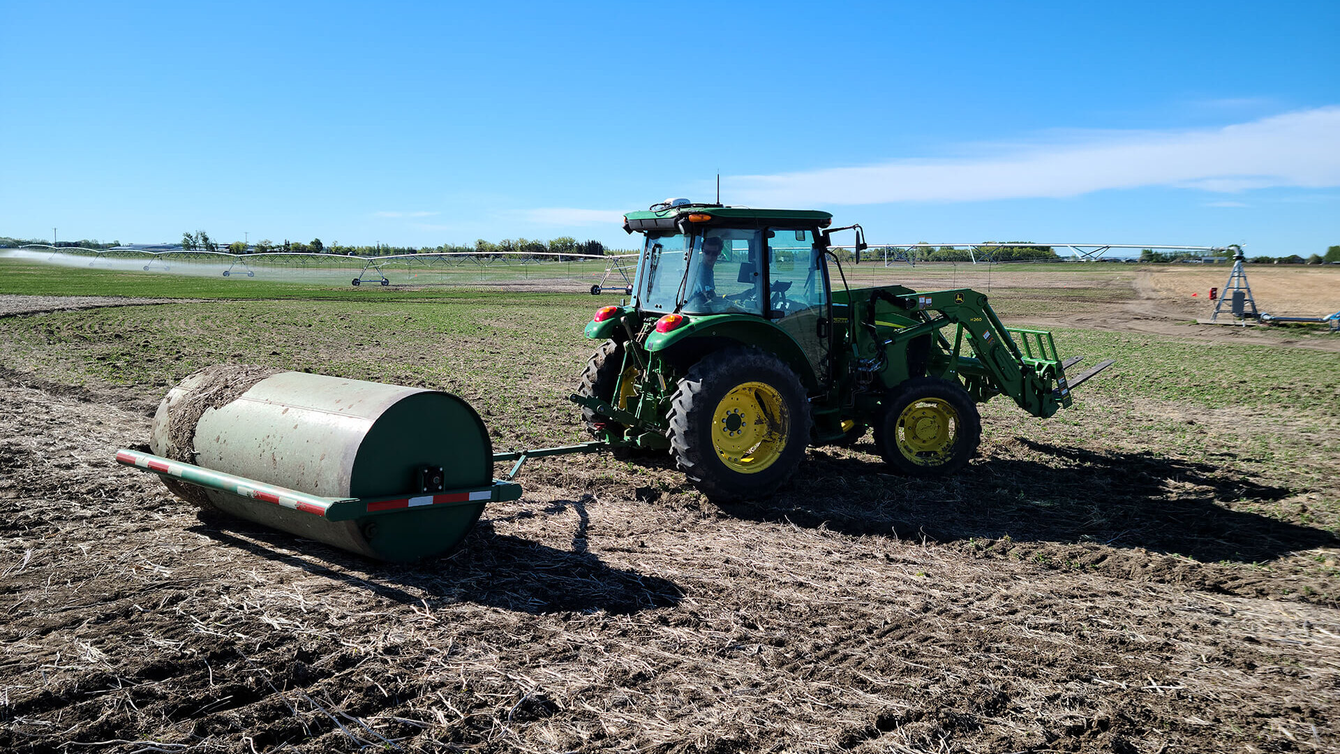 Impact of Land Rolling on Grain and Silage Production in Cereals Under Irrigation