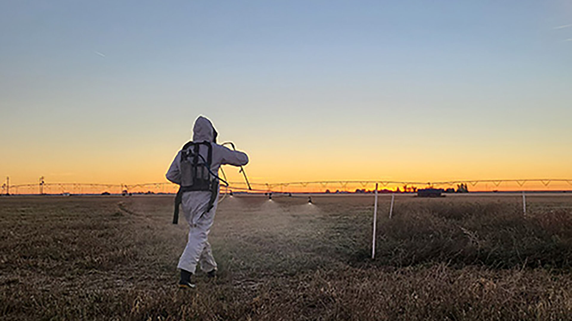 Alfalfa Desiccation Timing Trials