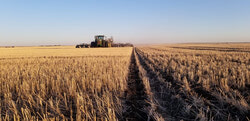 ### Latest Farming Smarter projects